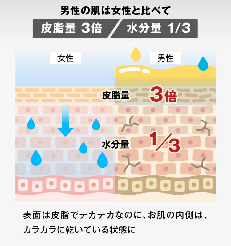 男性の肌は女性と比べて水分量 1/3　皮脂量 3倍　表面は皮脂でテカテカなのに、お肌の内側は、カラカラに乾いている状態に