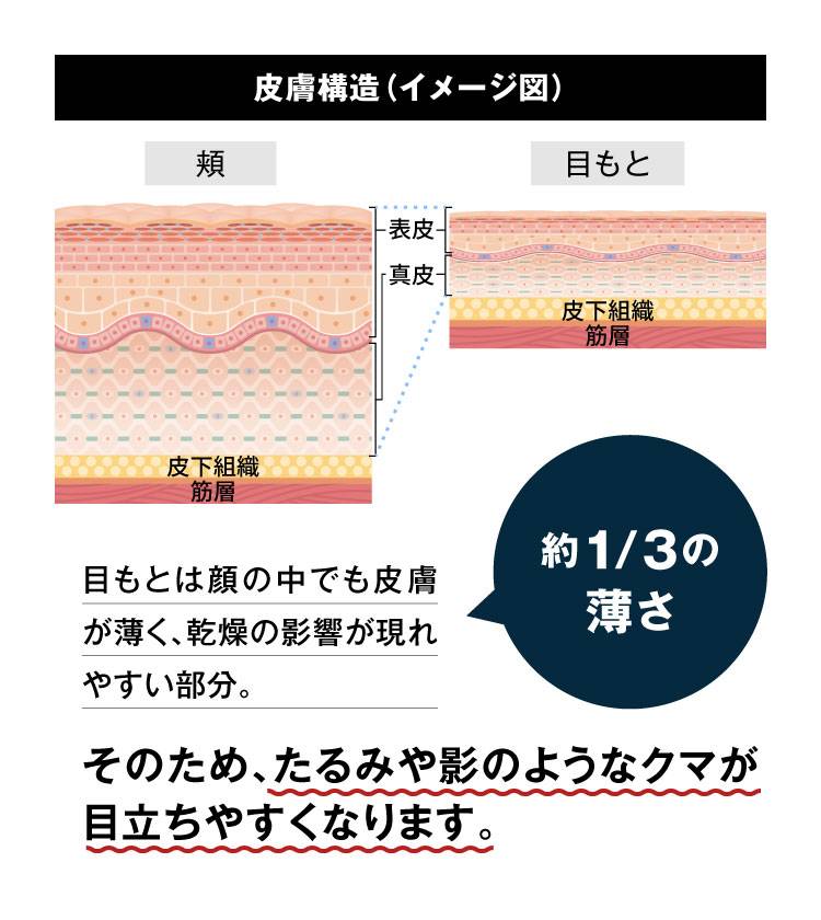 皮膚構造（イメージ図）